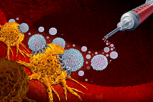 Immune Cells Against Cancer