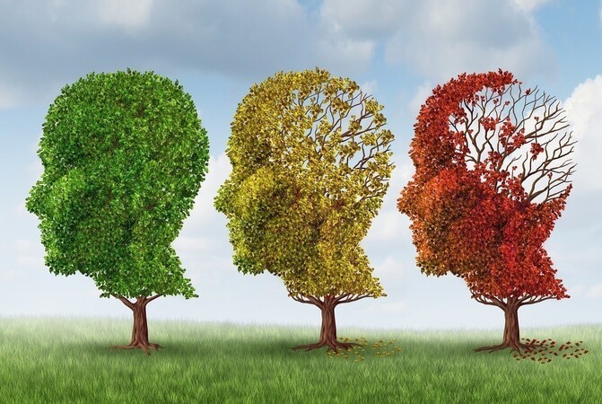 Alzheimer kun je beter voorkomen dan genezen