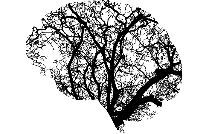 Welke invloed kan hersenschade hebben op de denkfuncties?